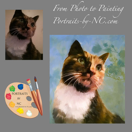 Tortoiseshell Cat Portrait from Photo 326