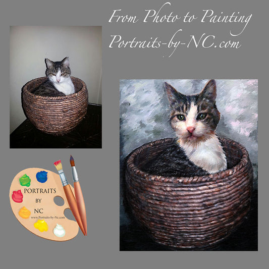 Cat Portrait Cat in Basket 427 - Portraits by NC
