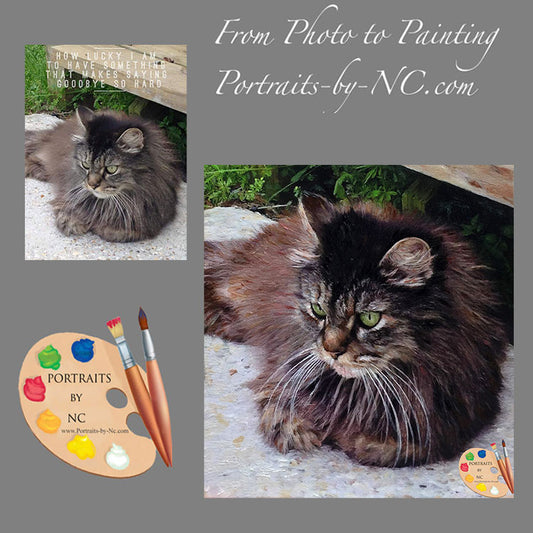 Maine Coon Cat Portrait 479 - Portraits by NC