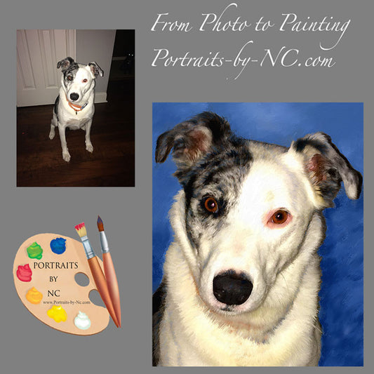 Catahoula Dog Portrait 441 - Portraits by NC