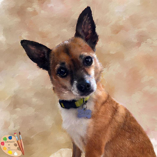 Sweet Looking Chihuahua Pet Portrait in Oil