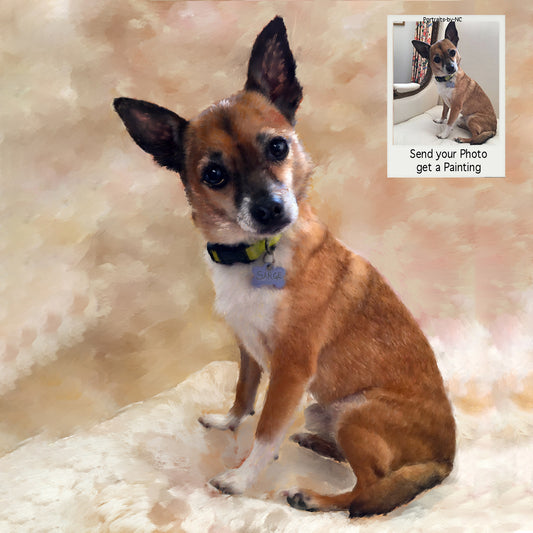 Chihuahua portrait from photo