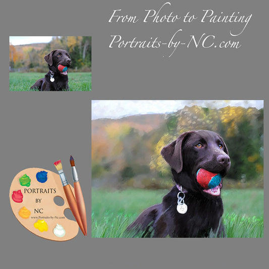 Labrador Portrait Dog with Ball from Photo 369