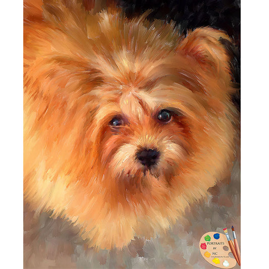 Chow Pet Portrait 485 - Portraits by NC