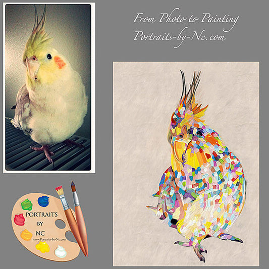Cockatoo Bird Portrait 354 - Portraits by NC