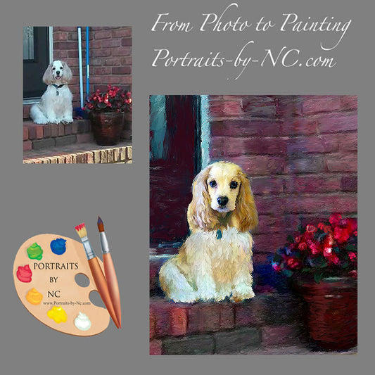 Cocker Spaniel Dog Portrait 520 - Portraits by NC
