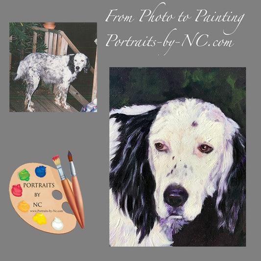 Cocker Spaniel Dog Portrait 553 - Portraits by NC