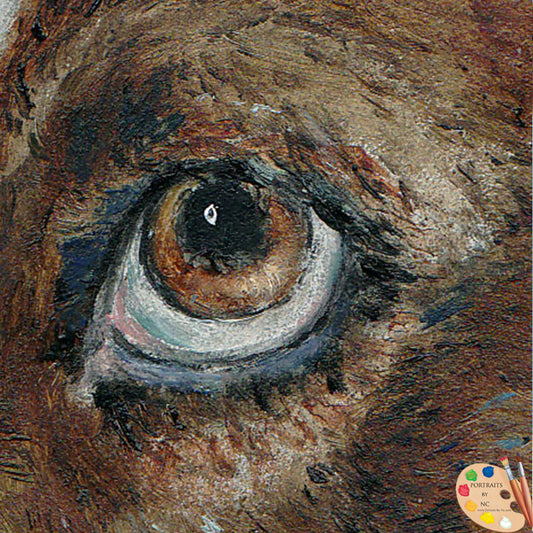 Oil Painting of a Herding Dog " The Rascal " - Portraits by NC