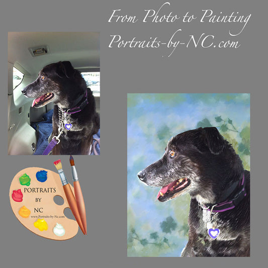 Old Dog Portrait 362 - Portraits by NC