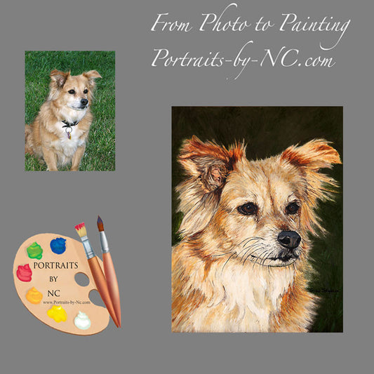 Mutt Pet Portrait 154 - Portraits by NC