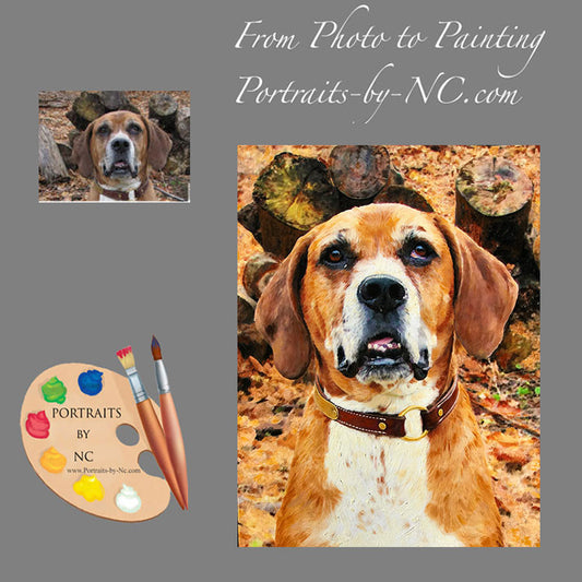 Pet Portraits from Photo