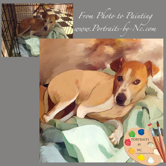 Modern Dog Portraits from Photo 622