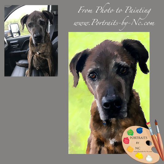 Brown Dog Pet Portrait 632 - Portraits by NC