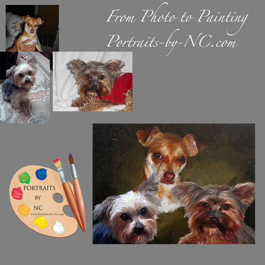 Group Dog Portrait from Photo 571