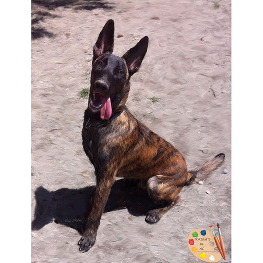Dutch German Shepherd Painting 264