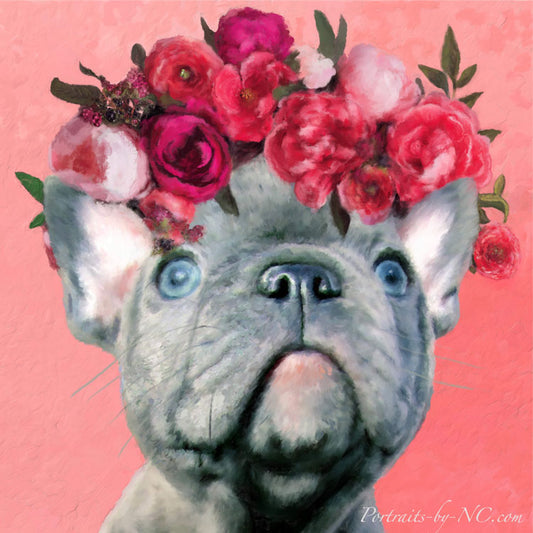 Blue English Bulldog Puppy Portraits 647 - Portraits by NC