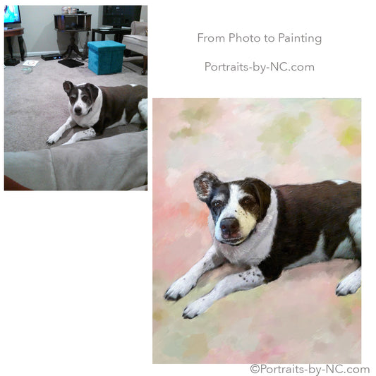 dog portrait from photo