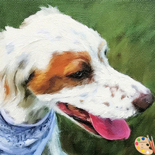 English Setter Dog Portrait 578 - Portraits by NC