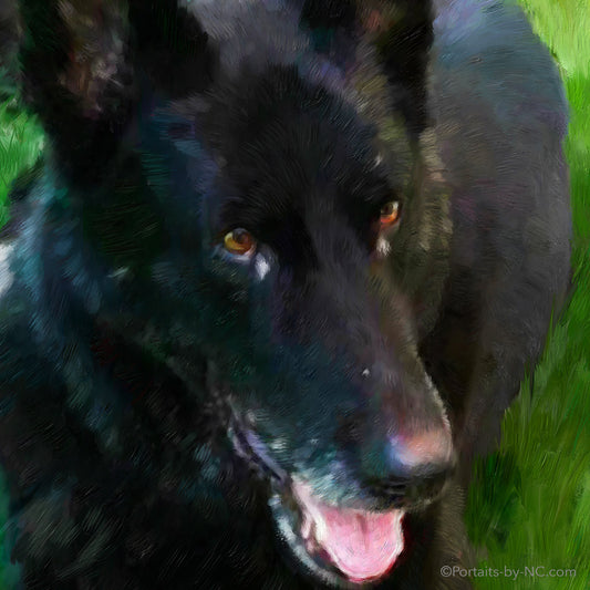 German Shepherd Face Closeup