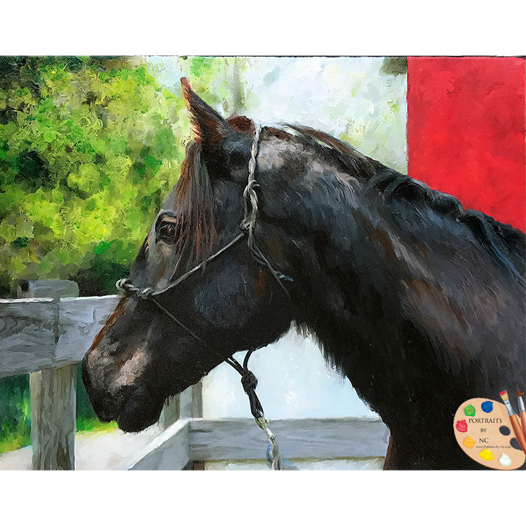 Friesian Horse Portrait - Commissioned Oil - custom pet portraits hand-painted and digital artwork by artist Enzie Shahmiri