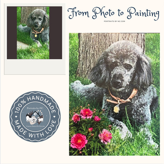 Portrait of a Poodle Named Stella