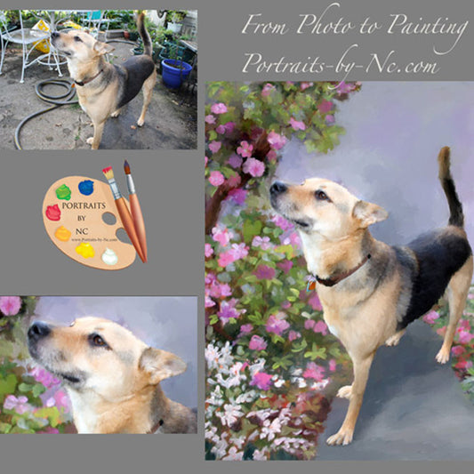 German Shepherd Pet Portrait from Photo 343