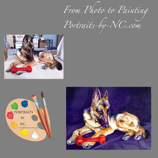 Portrait of German Shepherd from Photo 189