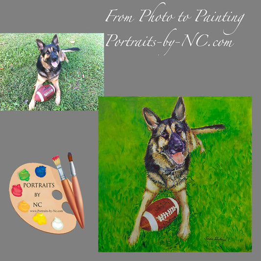 german-shepherd-portrait-192