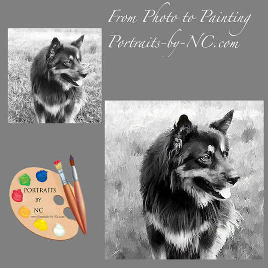 German Shepherd Dog Portrait from Photo 513