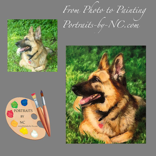 German Shepherd Pet Portrait from Photo 515