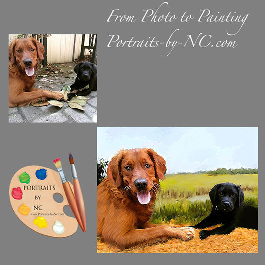 Golden Retriever Dog Portrait from Photo 517