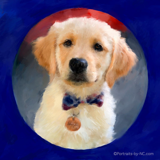 Golden Retriever Puppy