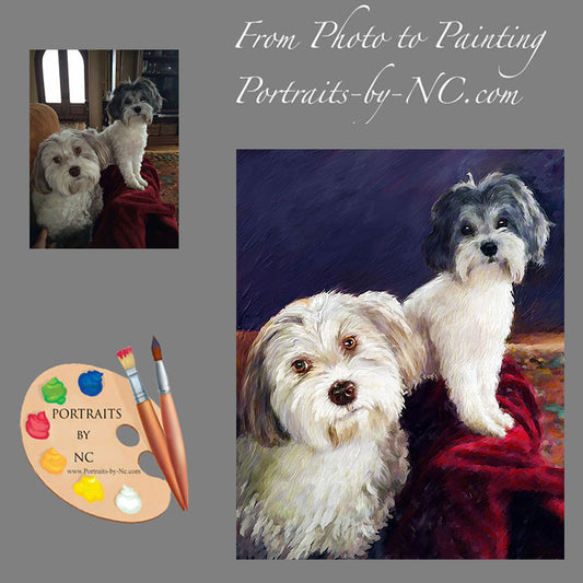 Havanese Dog Portrait from Photo 406