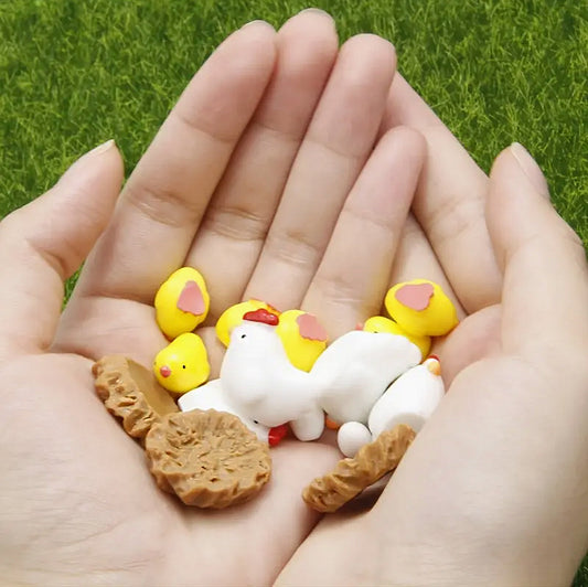 hen-and-chicks-in-hand