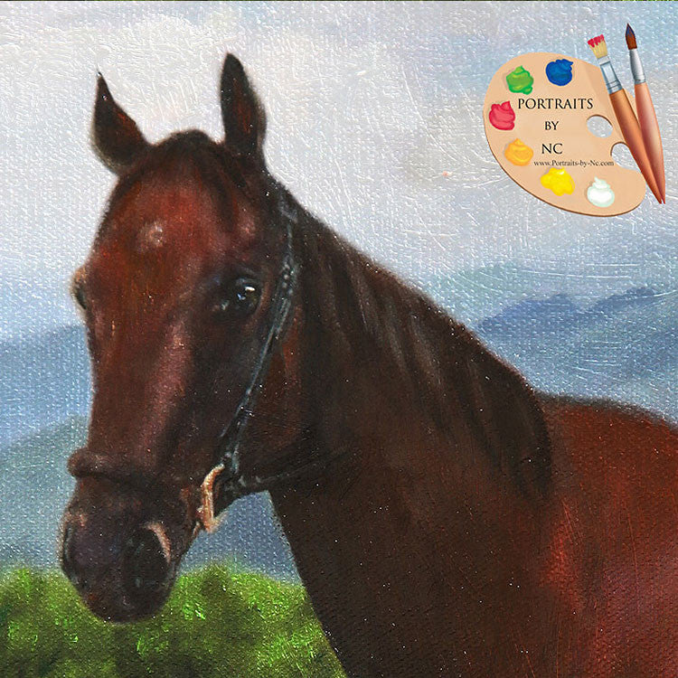 Horse Portrait 357