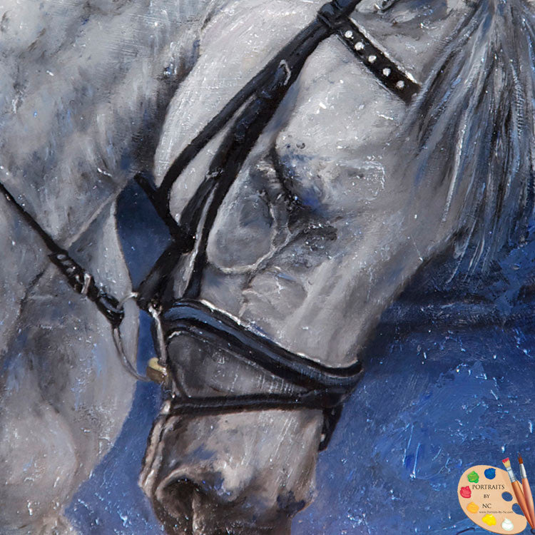 Horse Portrait 173