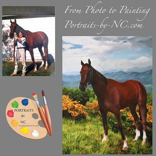 Horse Portrait Horse in Landscape from Photo 357