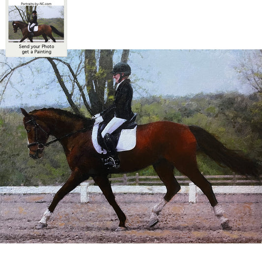 Dutch Warmblood Horse Portrait - Dressage Horse and Rider Portrait