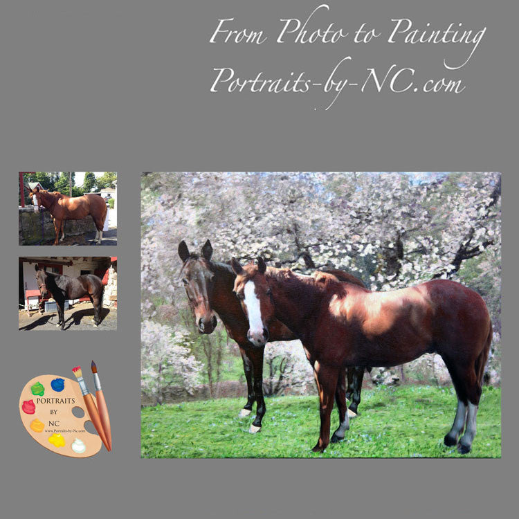 Horse Portrait from Photo 361