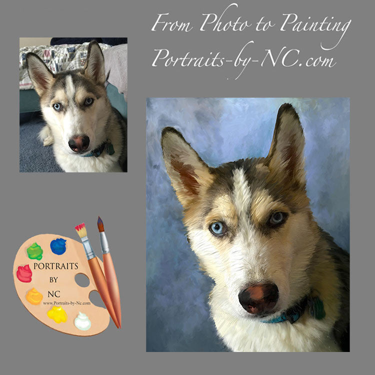 Husky Dog Portrait from Photo 407