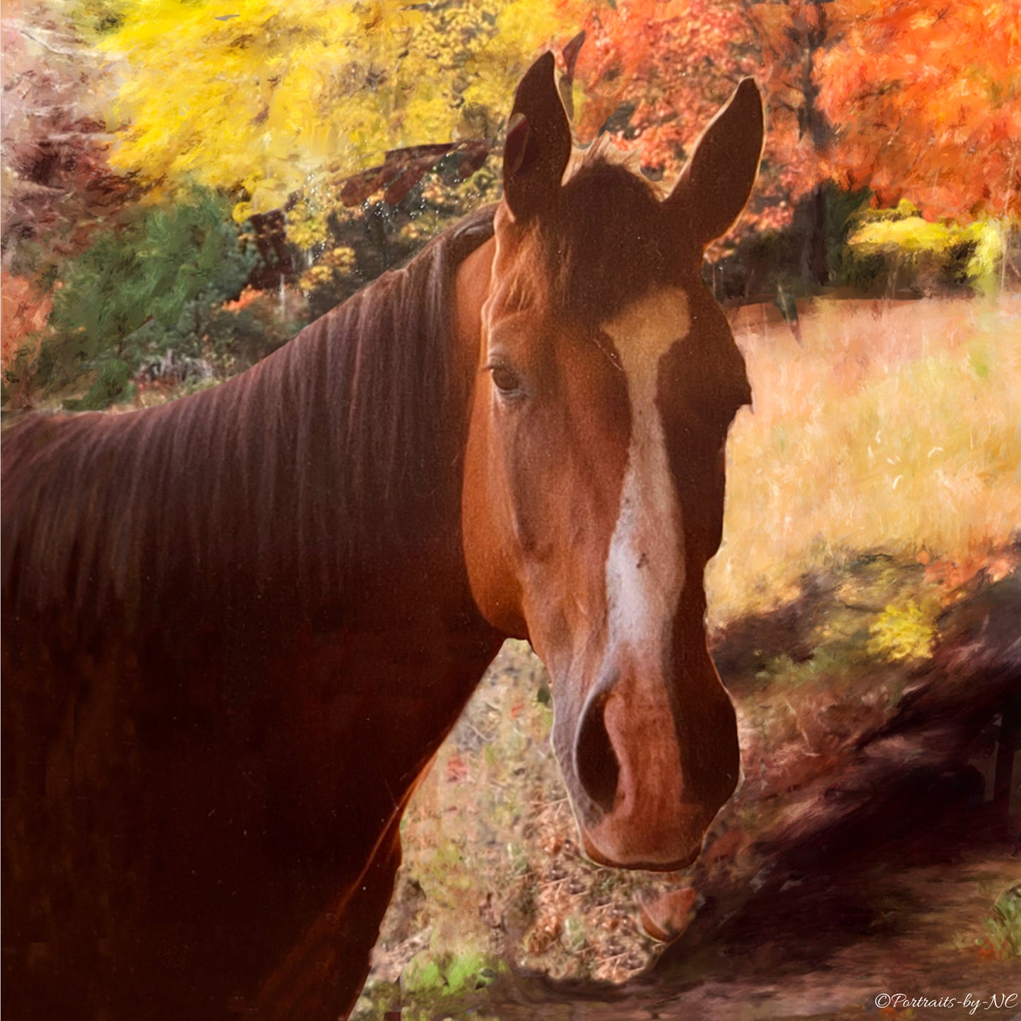 Quarter Horse Portrait — Portrait of Judge | Oil Portrait Commission - custom pet portrait, handprinted and digital artwork by artist Enzie Shahmiri