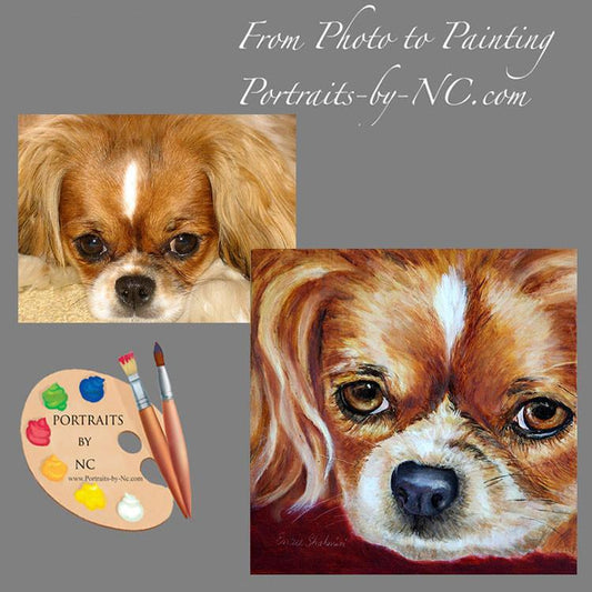 Cavalier King Charles Portrait