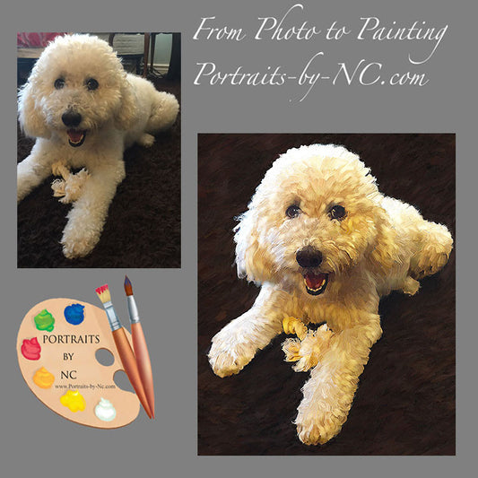 Labradoodle Dog Portrait from Photo 530