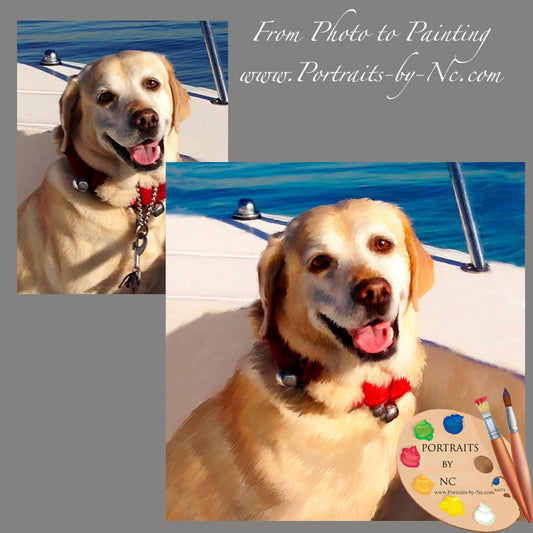 Labrador Dog Portrait from Photo 631