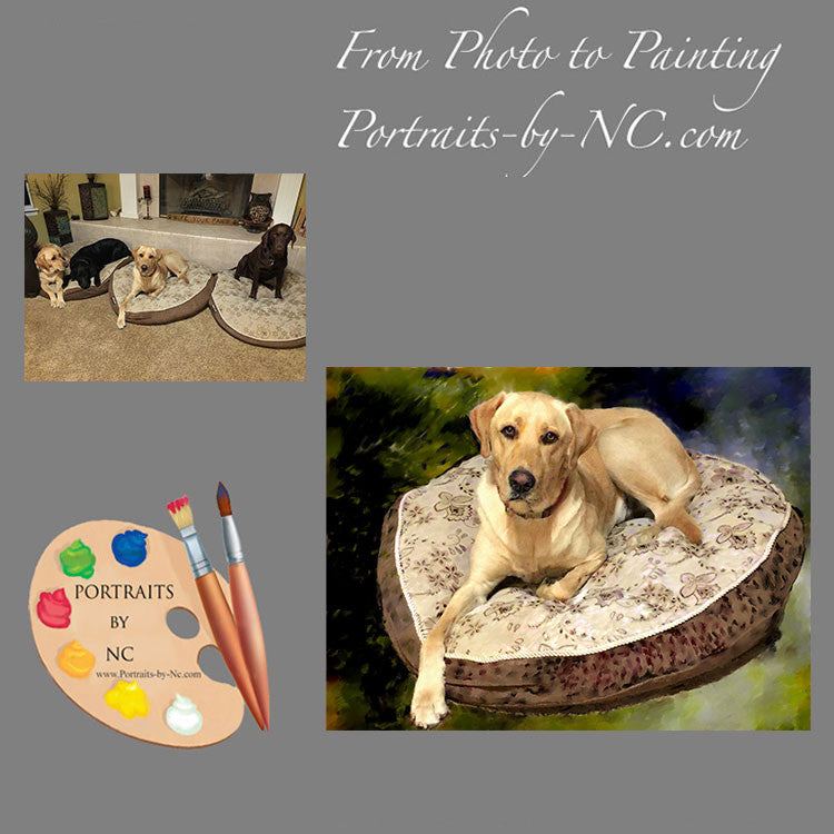 Labrador Pet Portrait from Photo 363