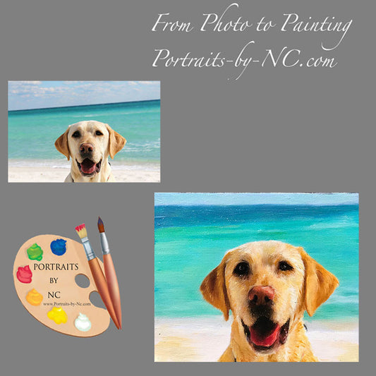 Labrador Portraits From Photo