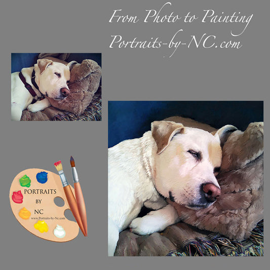 Sleeping Labrador Dog Portrait from Photo 327