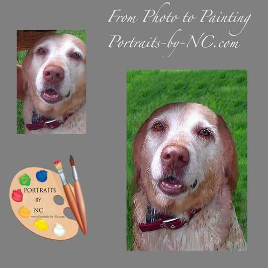 labrador portrait from photo