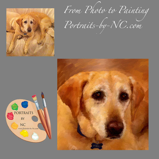 Labrador Portrait from Photo 458