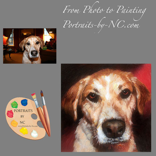 Labrador Portrait from Photo 471